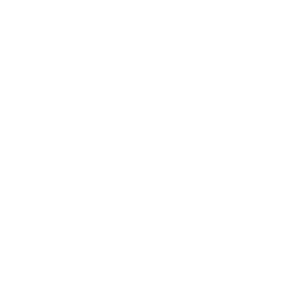 Nettoyage Expert Saguenay